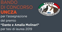 Premio UNCZA 2019